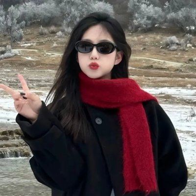 空中英雄:美国第八航空队